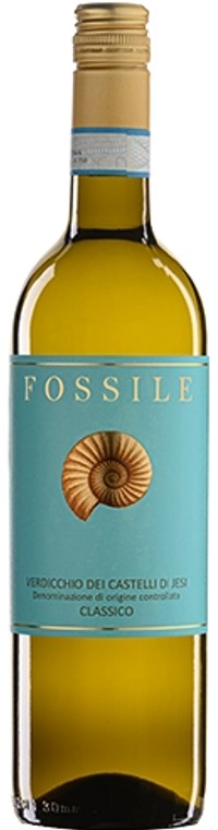 Fossile-Verdicchio-Classico-DOC-2025
