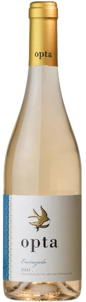 Boas-Quintas-Opta-Encruzado-2022